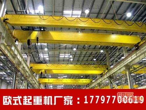 安徽安慶歐式雙梁起重機供應(yīng)商安全可信