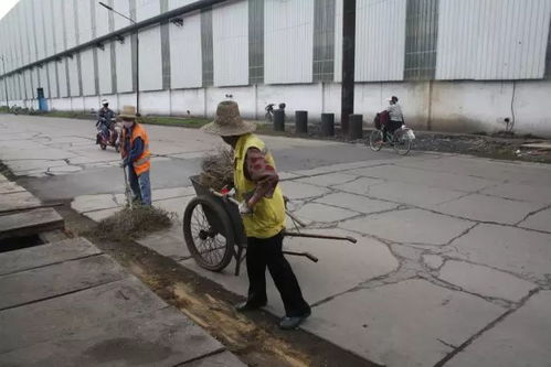 打頭陣 當(dāng)先鋒 勇?lián)?dāng)——綜合服務(wù)公司創(chuàng)建清潔工廠在行動(dòng)